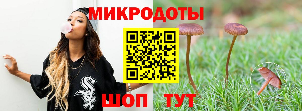 Псилоцибиновые грибы Psilocybine cubensis Можга